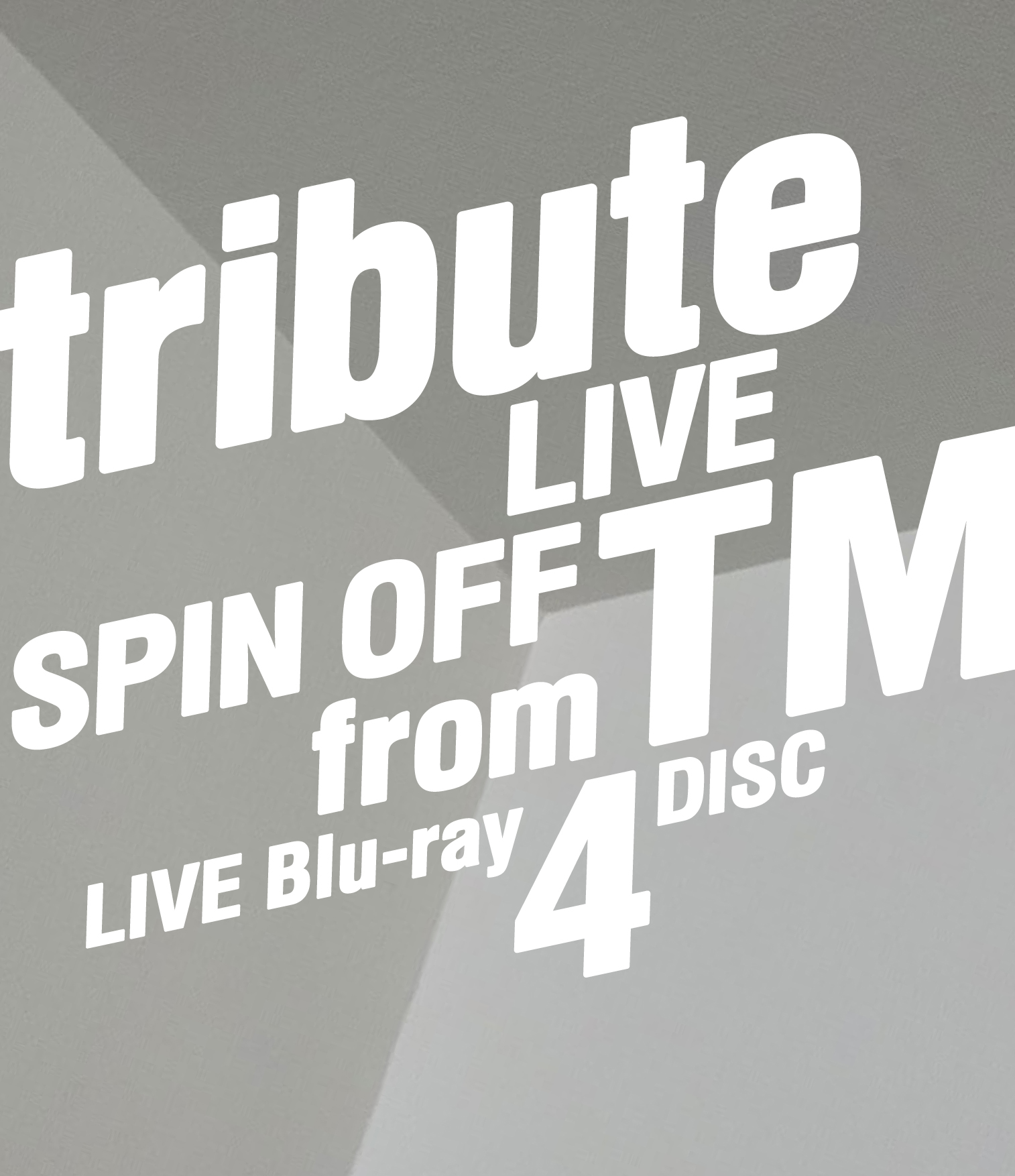 TM NETWORK SPIN OFF from TM 2007 tribute LIVE III FC限定版 2枚組 DVD-